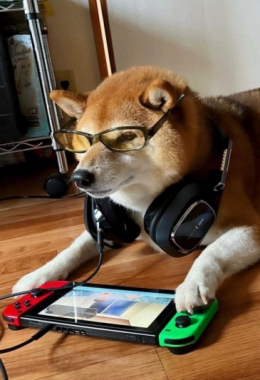 Аватар пользователя Reploid